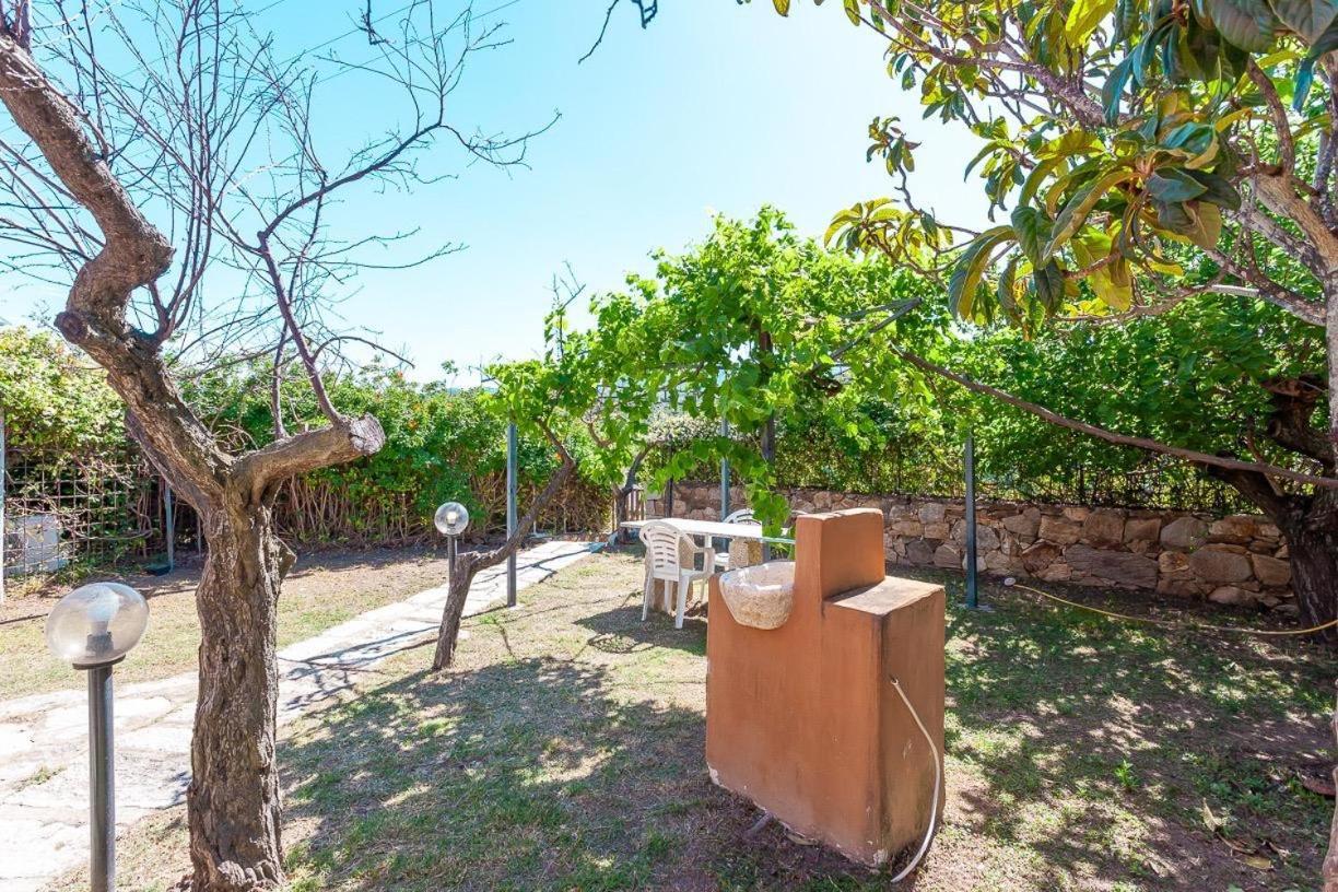 B&B Pettirosso Garden San Teodoro  Ngoại thất bức ảnh