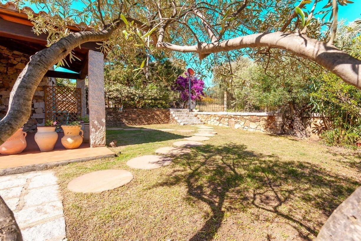 B&B Pettirosso Garden San Teodoro  Ngoại thất bức ảnh