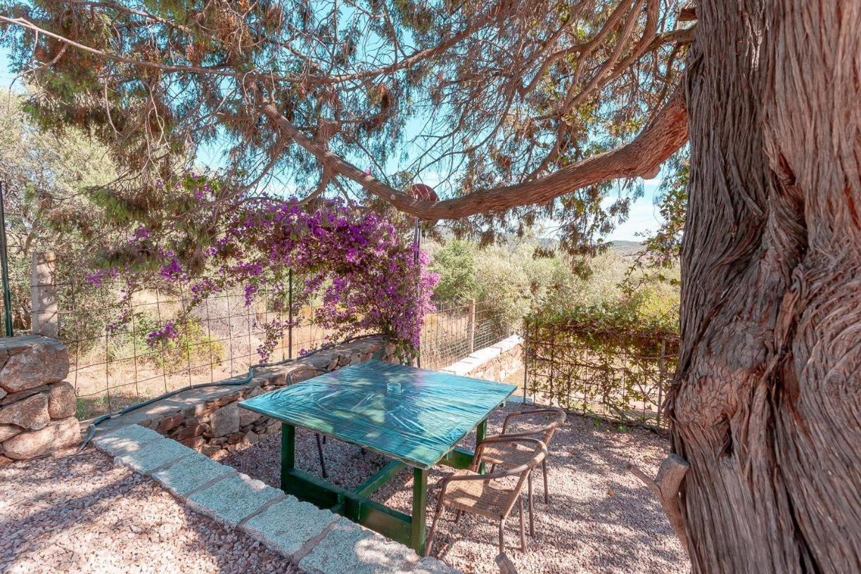 B&B Pettirosso Garden San Teodoro  Ngoại thất bức ảnh